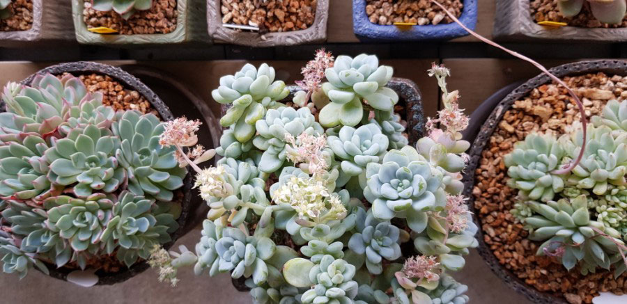 강북구 미아동 삼양동 백세사랑 재가복지센터 방문요양 장기요양등급신청