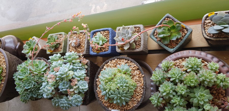 강북구 미아동 삼양동 백세사랑 재가복지센터 방문요양 장기요양등급신청