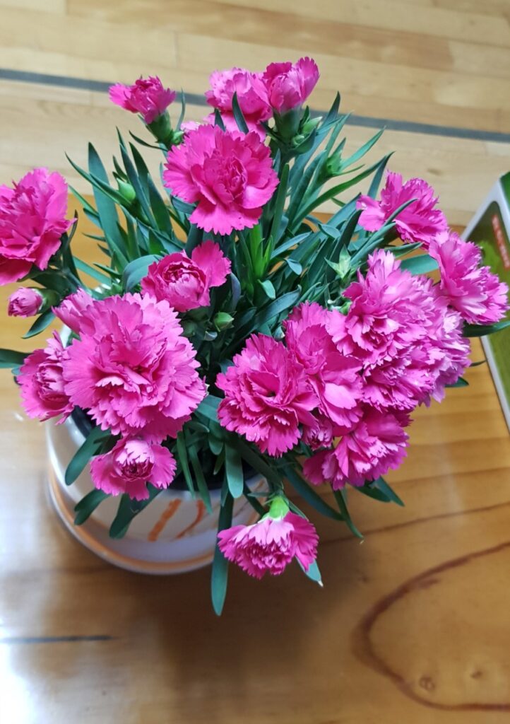 강북구 미아동 삼양동 백세사랑 재가복지센터 방문요양 장기요양등급신청