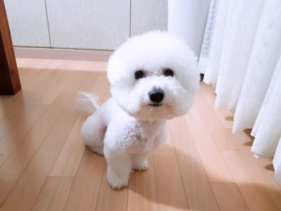 강북구 미아동 삼양동 백세사랑 재가복지센터 방문요양 장기요양등급신청