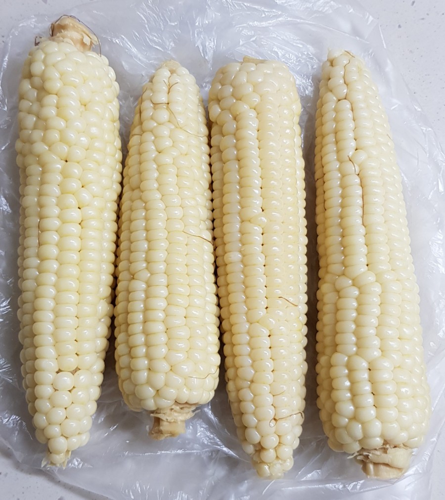 강북구 미아동 삼양동 백세사랑 재가복지센터 방문요양 장기요양등급신청