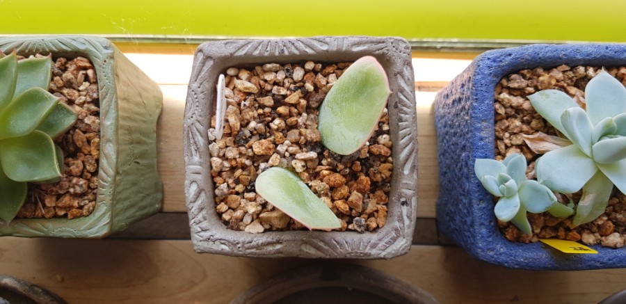 강북구 미아동 삼양동 백세사랑 재가복지센터 방문요양 장기요양등급신청