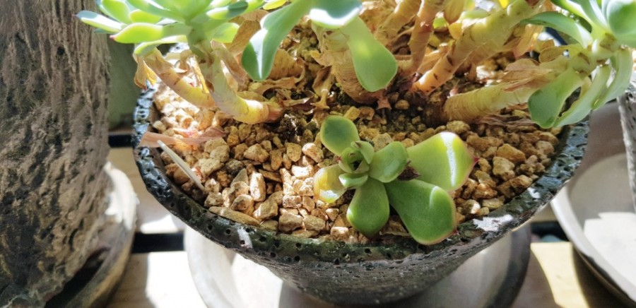 강북구 미아동 삼양동 백세사랑 재가복지센터 방문요양 장기요양등급신청