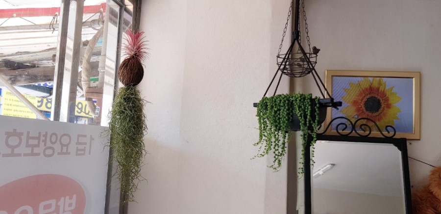 강북구 미아동 삼양동 백세사랑 재가복지센터 방문요양 장기요양등급신청