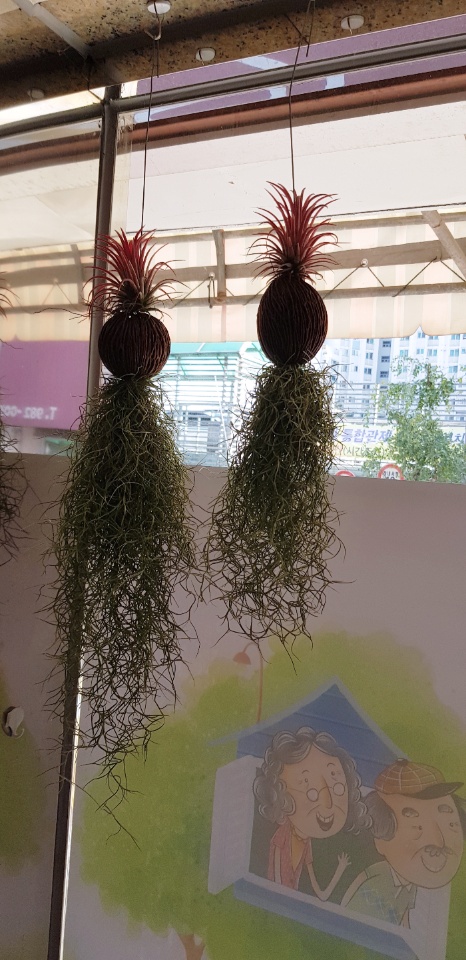 강북구 미아동 삼양동 백세사랑 재가복지센터 방문요양 장기요양등급신청