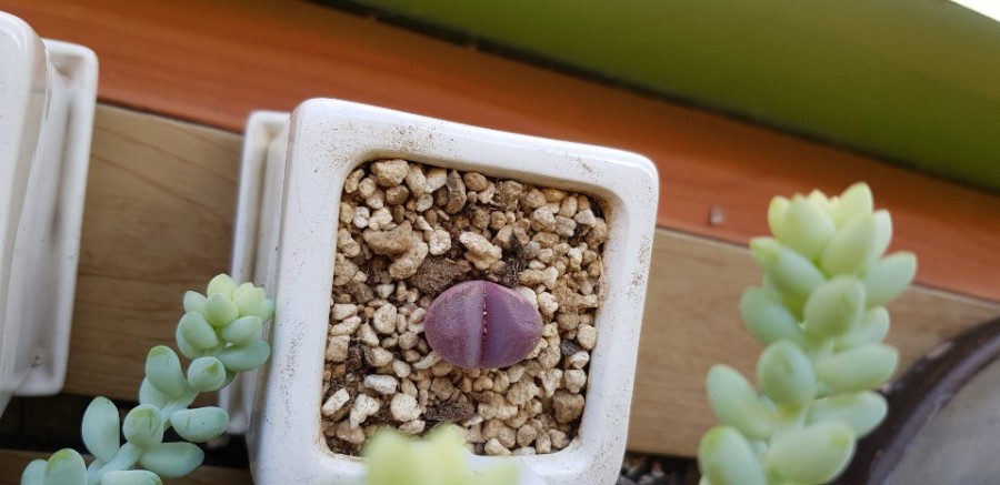 강북구 미아동 삼양동 백세사랑 재가복지센터 방문요양 장기요양등급신청